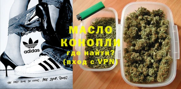 дмт Пересвет
