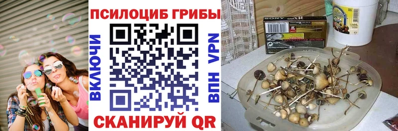 MEGA ссылки Никольское Галлюциногенные грибы мицелий